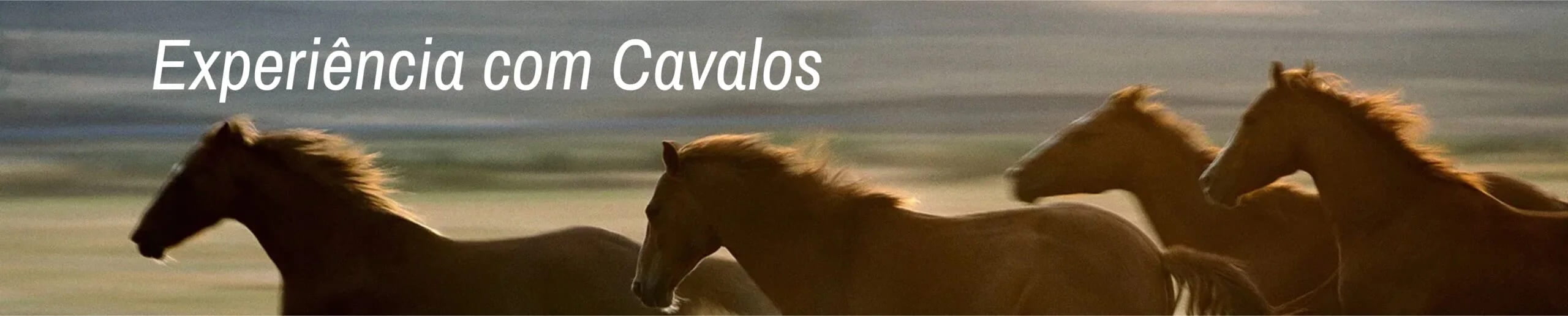 Liderança humanizada: Experiência com Cavalos